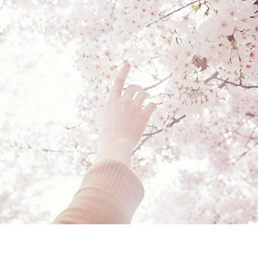 Картинки белого цвета эстетика