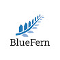 Blue Fern Homes YouTube Profile Photo