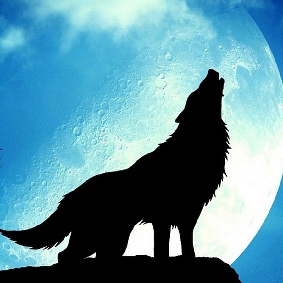Wolfich