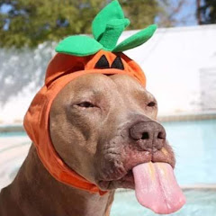 Thumbnail of related channel