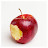 사과