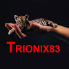 What could Trionix83 buy with $100 thousand?