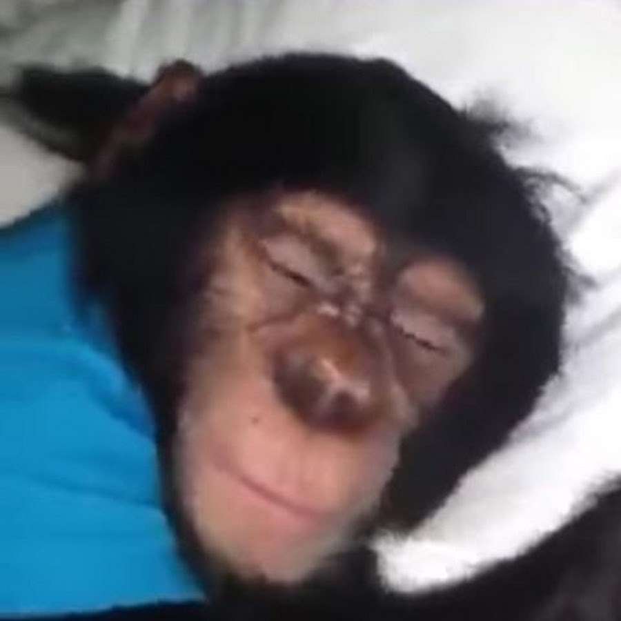 Ержан арт