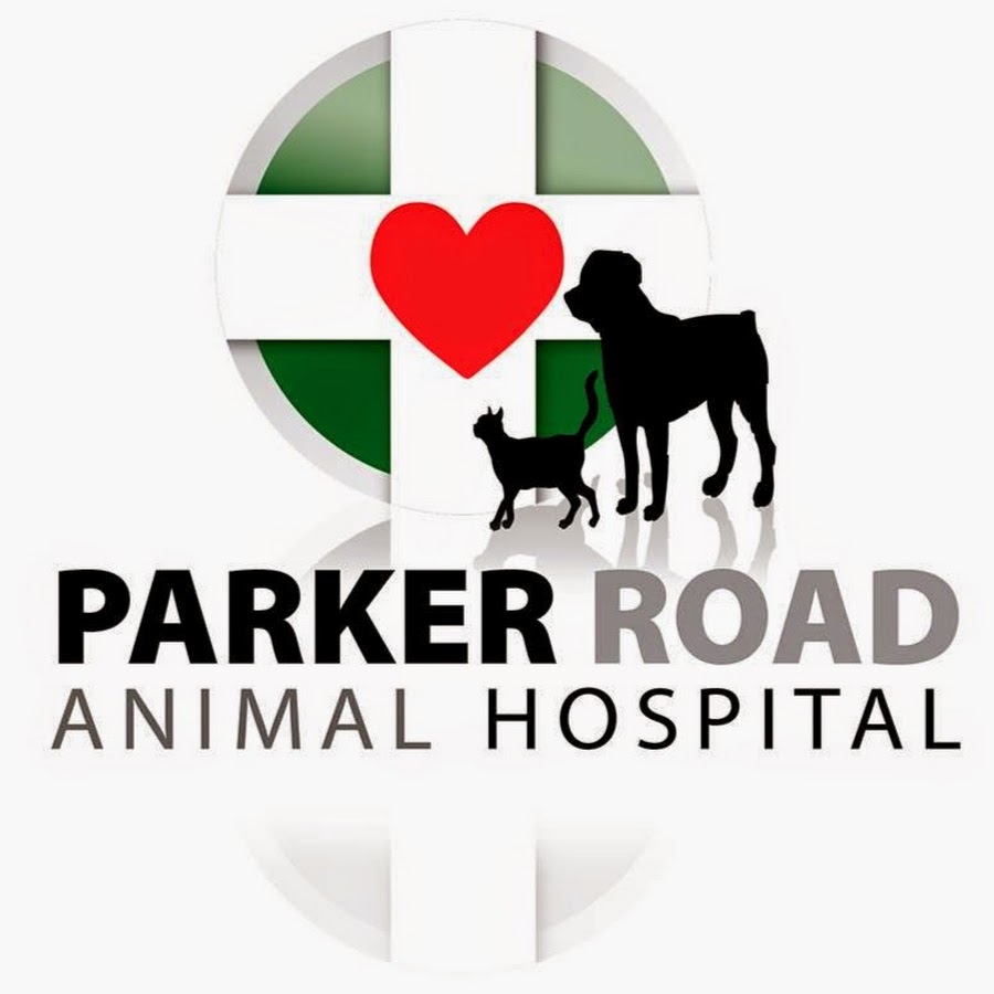 AMLnZuwG6HK9sDYcbYFNPR6momv97vlUCiElTe4NZfD=s900ckc0x00ffffffnorj