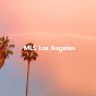 MLS Los Angeles YouTube Profile Photo