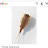 _ Triops _