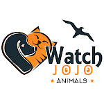 Watchjojo Animals Net Worth