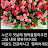 최계선 (드림)