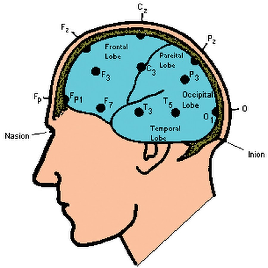 Схема наложения электродов при ээг