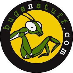 Thumbnail of related channel
