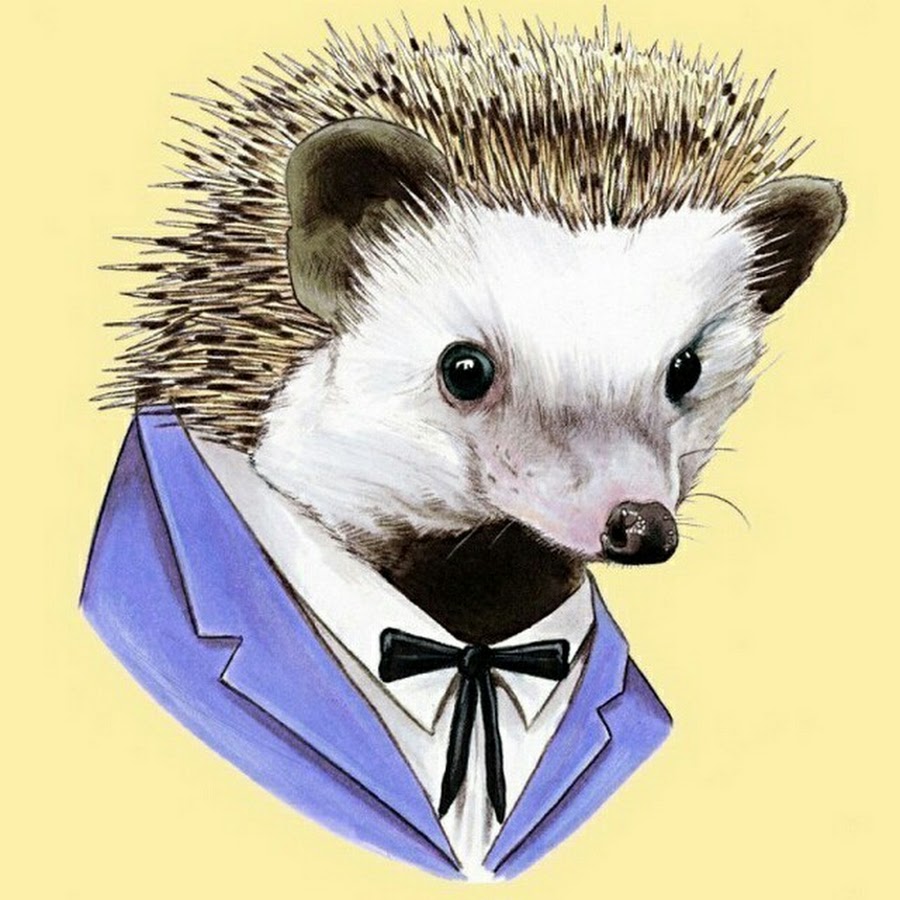 Аватарка ежик. Ежик на аву. Крутой еж. Ежик арты. Ежик в пиджаке