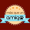 What could Más que un amigo buy with $100 thousand?
