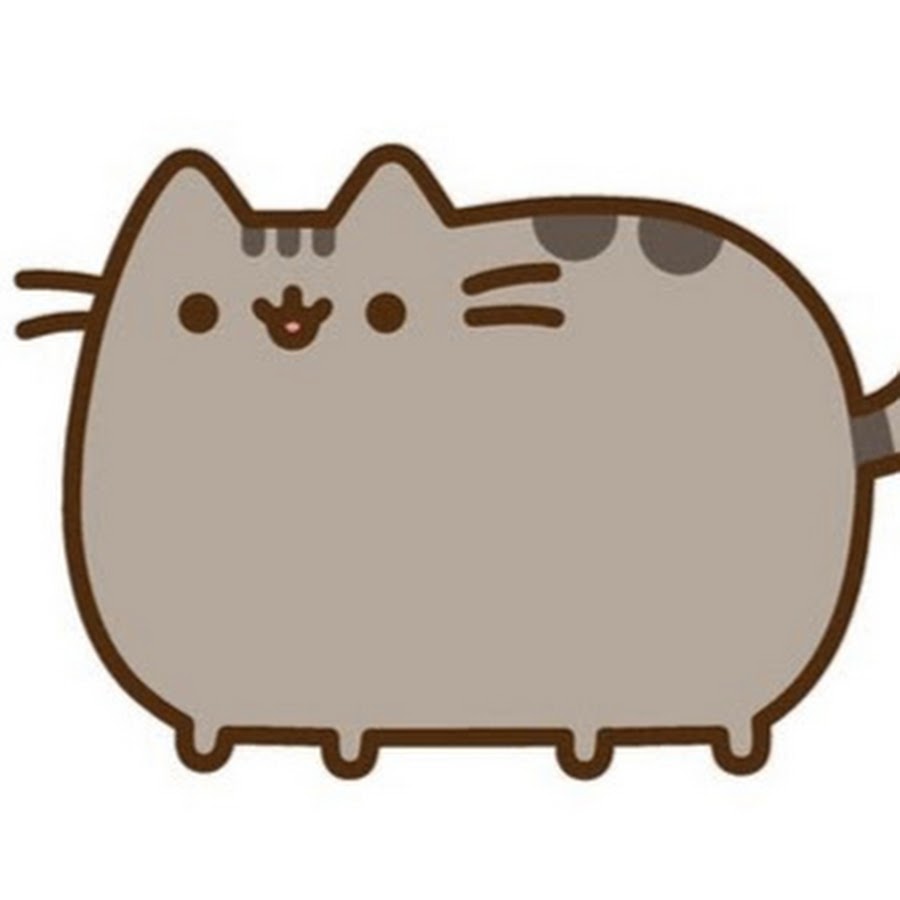 Толстый милый котик рисунок