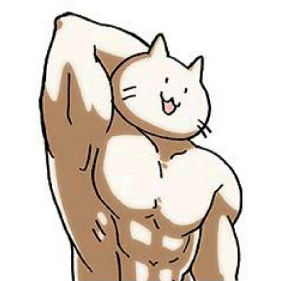 Кот с бицухой