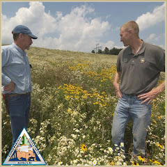 Thumbnail of related channel