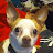 Jerold Brooks Avatar