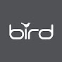 Bird Consultancy YouTube Profile Photo