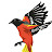 Mika Jasin Avatar