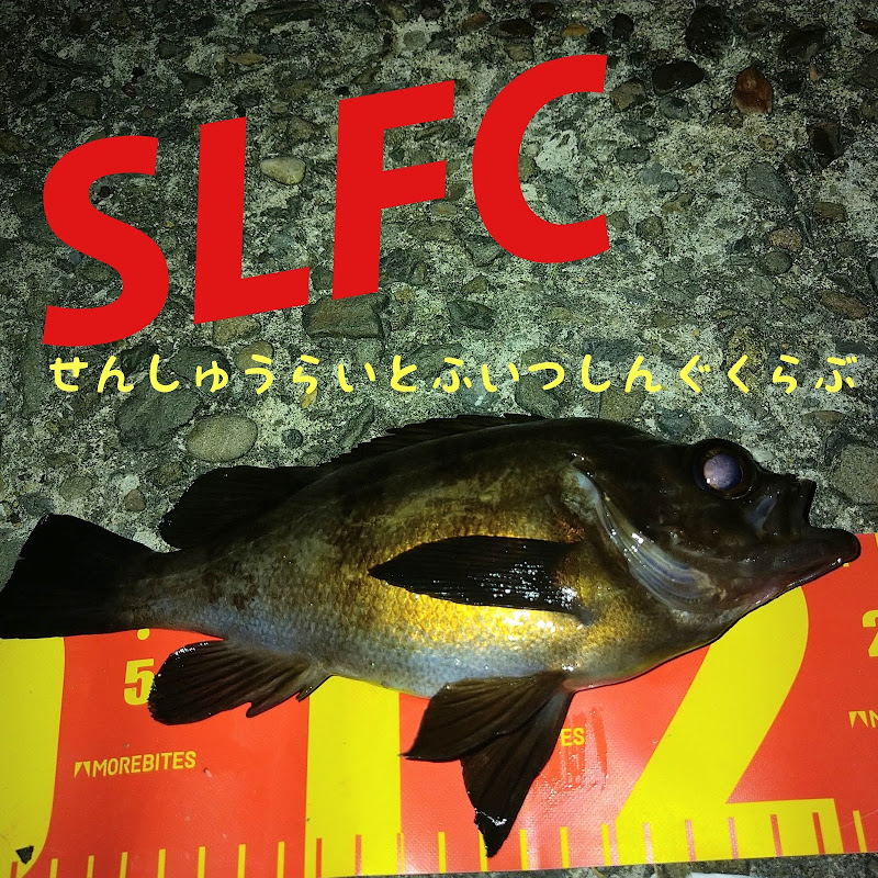 SLFC泉州ライトフィッシングクラブ