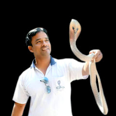 Kamal Choudhary Snake Rescue Team bilaspur