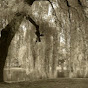 Weeping Willow Productions YouTube Profile Photo