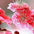 세이