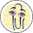 Nintendo Gamer Avatar