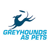 Greyhounds As Pets
