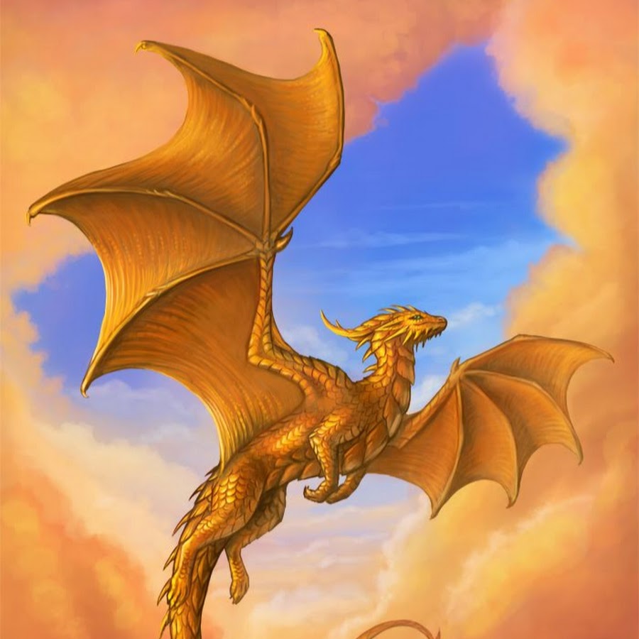 Голден дракон золотой дракон