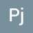Pj S
