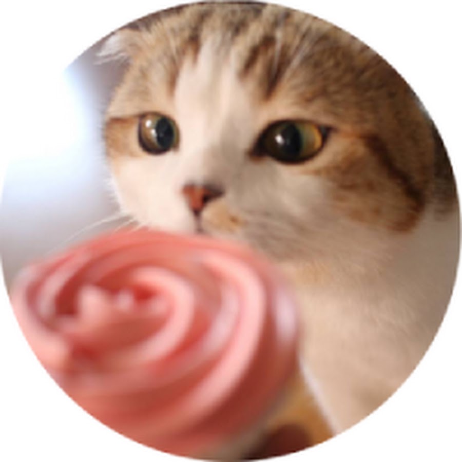 Re: [新聞] 學習歷程檔案淪教育商品化　教部坦言：無