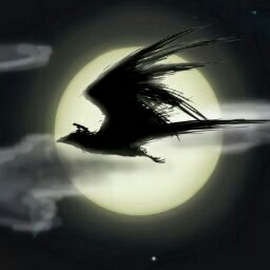 Midnight bird. Птицы ночью. Птица в ночном небе. Ночная птица фэнтези. Лунная птица.