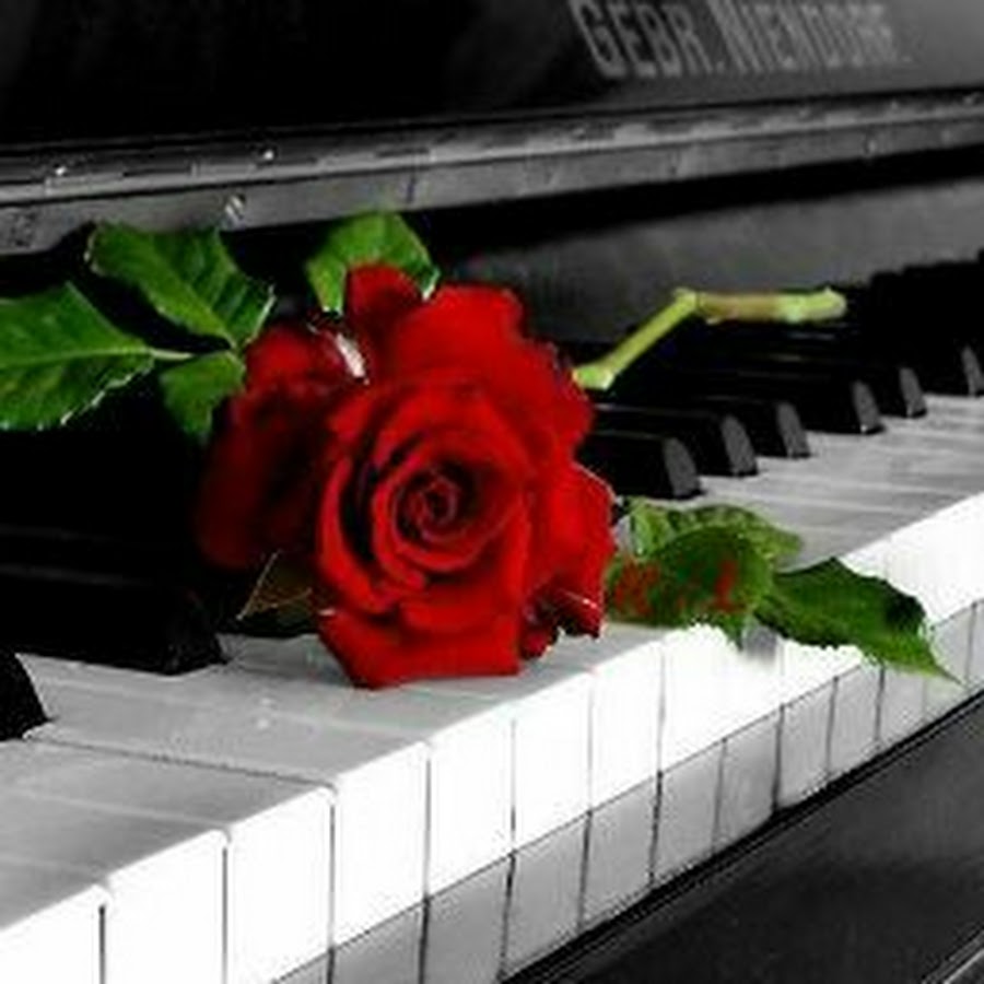 Цветы на рояле. Цветы на пианино. Рояль с цветами. Фортепьяно и цветы. На клавишах тургенева
