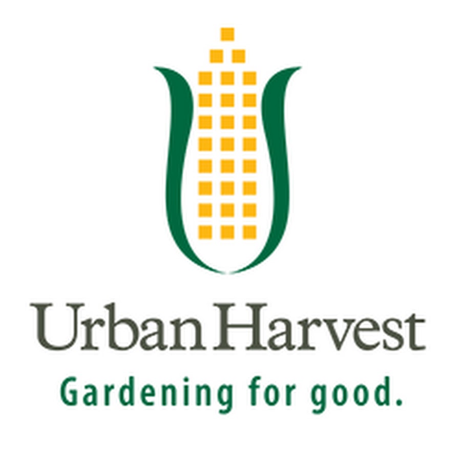 AMLnZu88Y8q2RhMbpg37_IYEAISj8PBpcT2CGlSB3JQ9=s900ckc0x00ffffffnorj