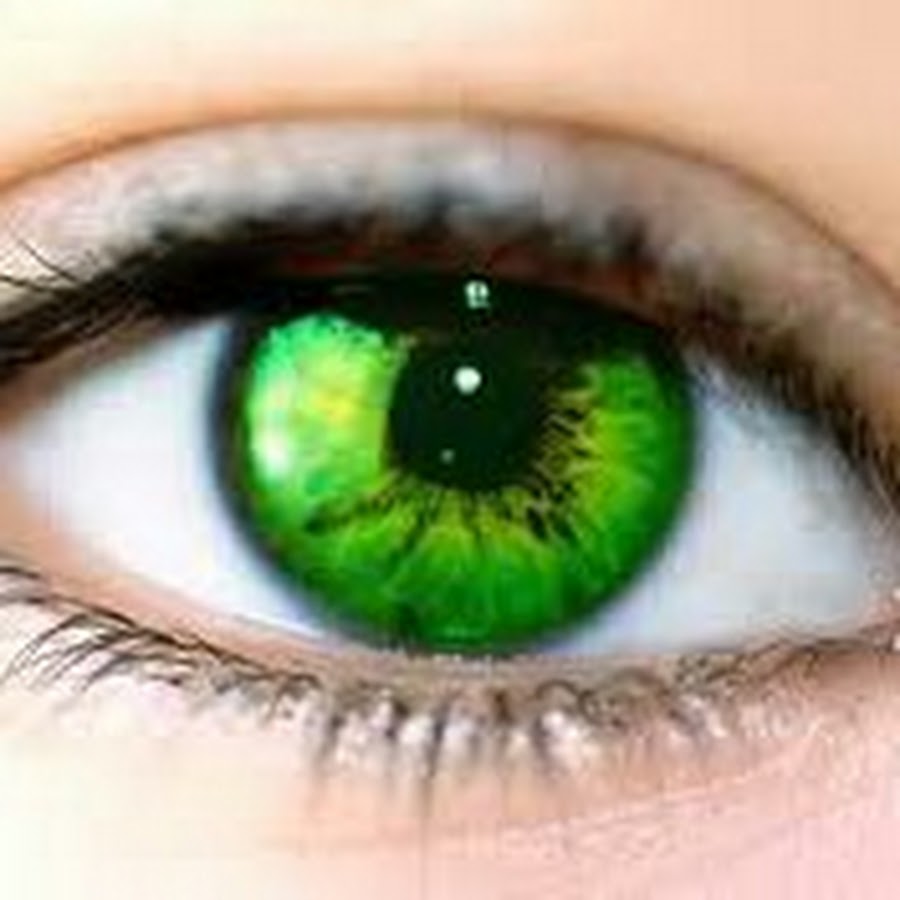 Глаз в разрезе. Глаза гр. Металлозная гетерохромия. Глаза гр. Разные типы разреза глаз.