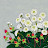 박수연