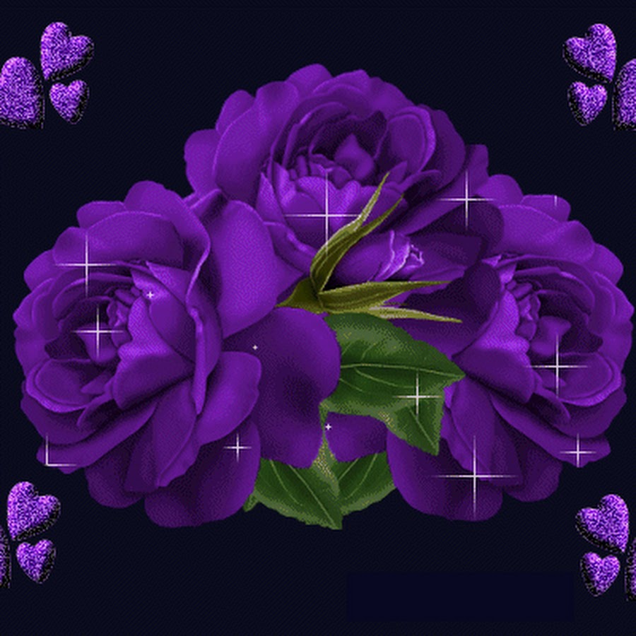 Красивый цветок картинка анимация. Фиолетовые розы. Анимационные цветы. Переливающиеся цветы. Анимированные цветочки.