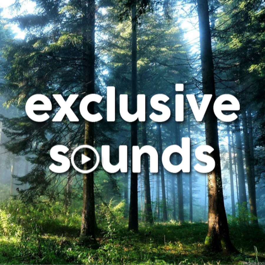 Надпись welcome. Welcome exclusive. Обои с надписью welcome. Курс welcome картинки. Добро пожаловать минимализм.