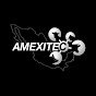 AMEXITEC Asoc. Mex. Cien. y Tecnol. de la Carne YouTube Profile Photo