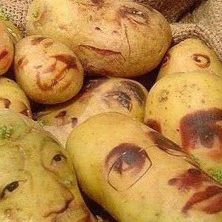 Глазки картошки. Картошка. Картофель с глазами. Картошка в космосе. Картошка с глазками.