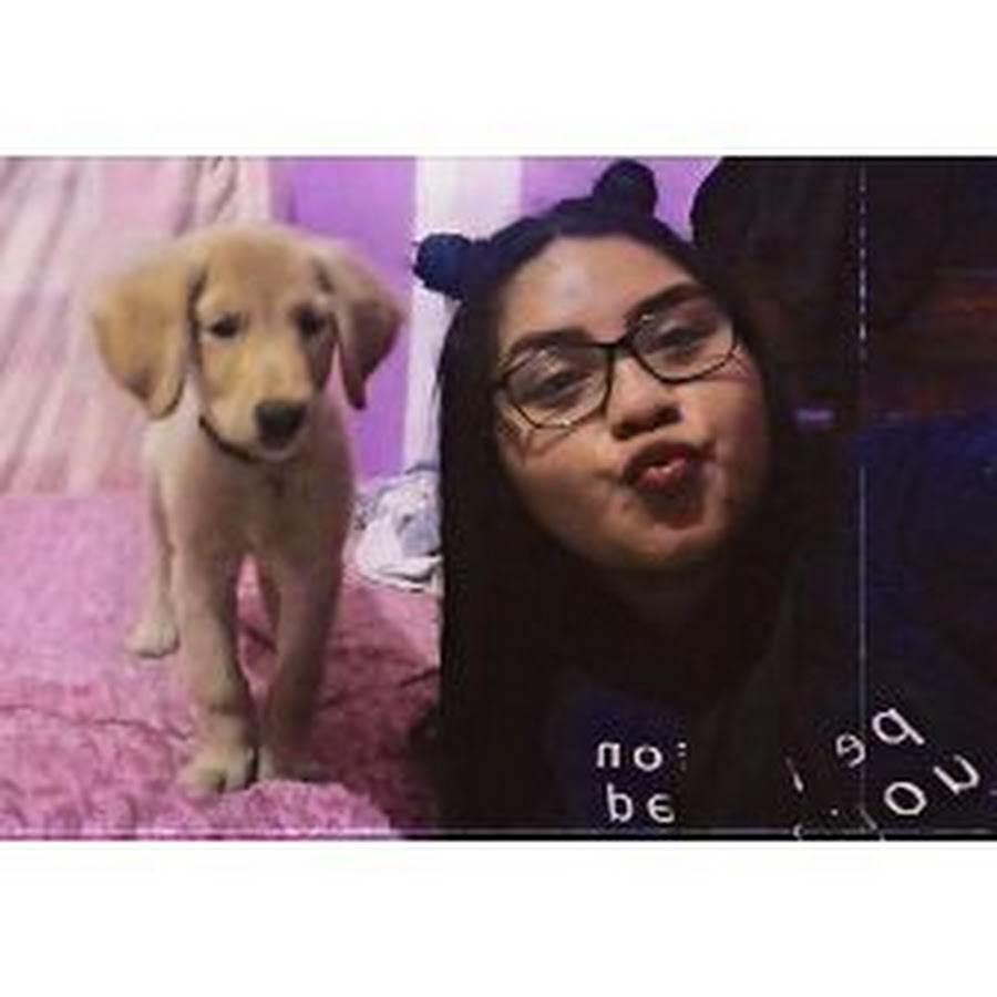 AMLnZu8DrLd90JaQxsqz-RroBk1eNO7gLp0nRaMoCgoOXRQ=s900-c-k-c0x00ffffff-no-rj