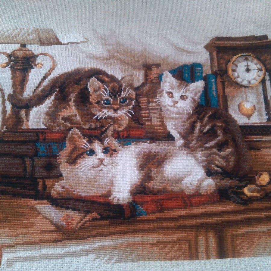 вышивка крестом кот на книжной полке