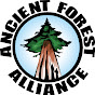 Ancient Forest Alliance - @BCAncientForest YouTube Profile Photo