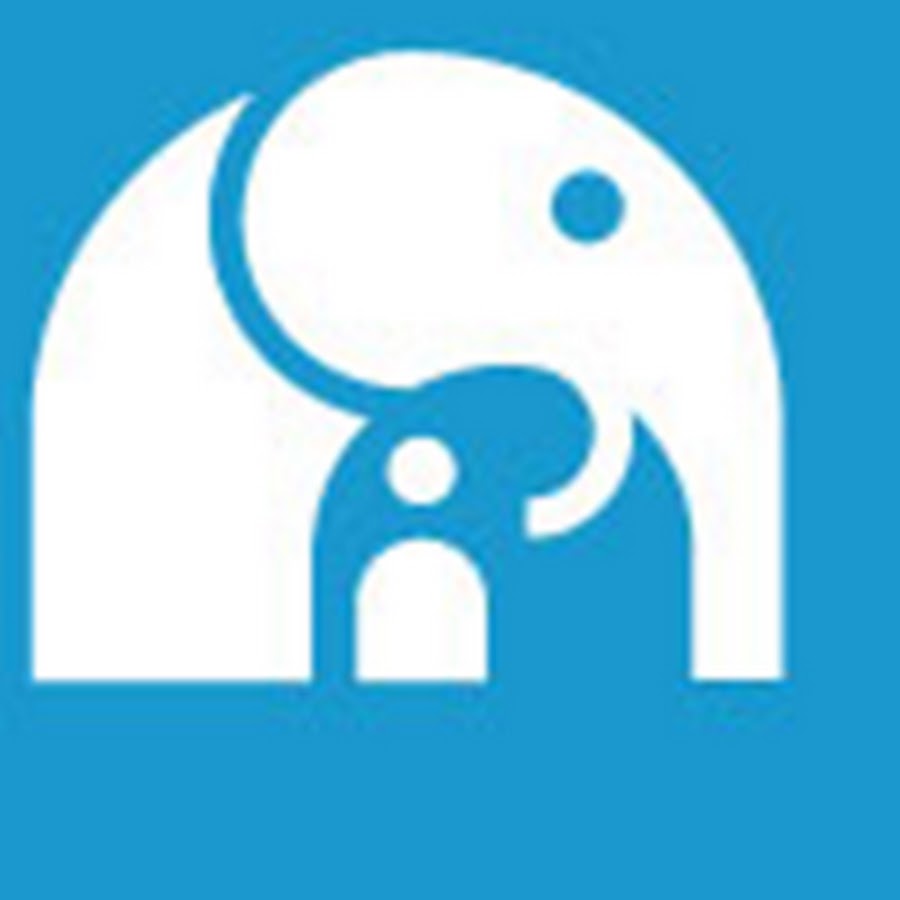 Паллиатив. Детский паллиатив благотворительный фонд. Эмблема детского паллиатива. Логотип детский паллиатив. Фонды для паллиативных детей.