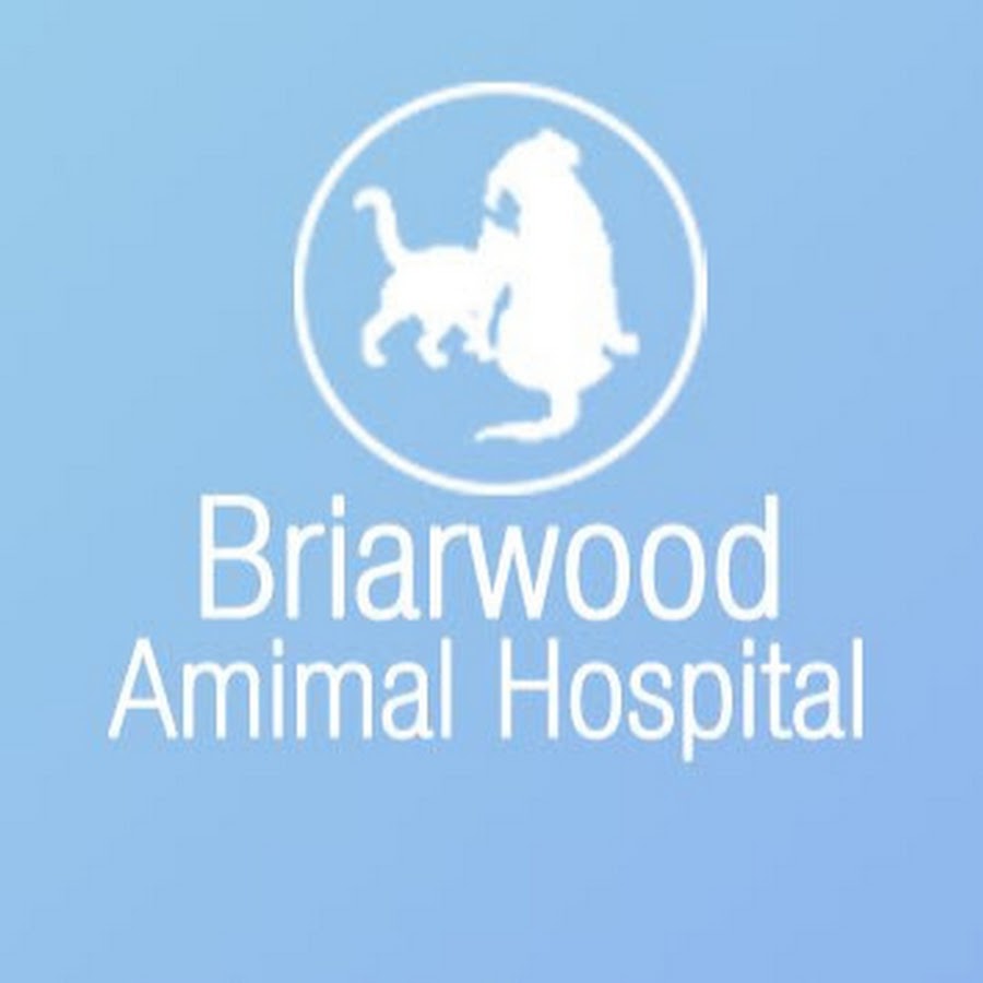 AMLnZu8FjaM6XdkreR4qlxVFfTAfJEn3jPdBWCd9Hssm=s900ckc0x00ffffffnorj