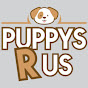 Puppys R Us YouTube Profile Photo