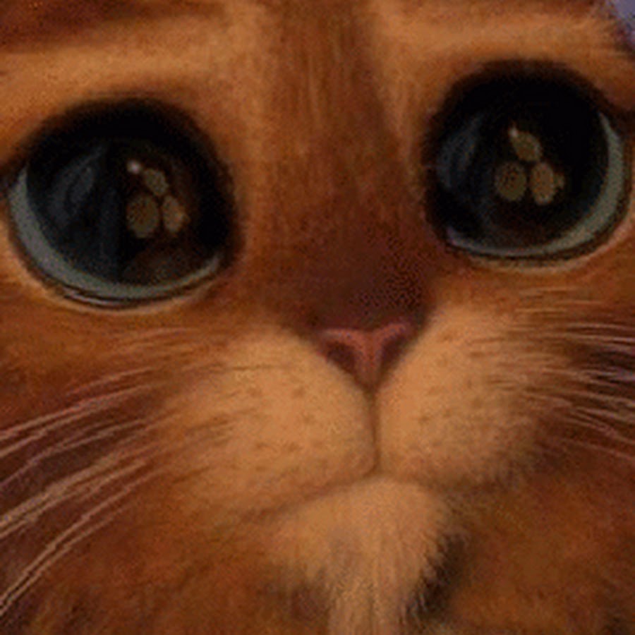 Кот из шрека с большими глазами рисунок