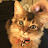 Schicke Diva Avatar