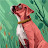 sean edwards Avatar