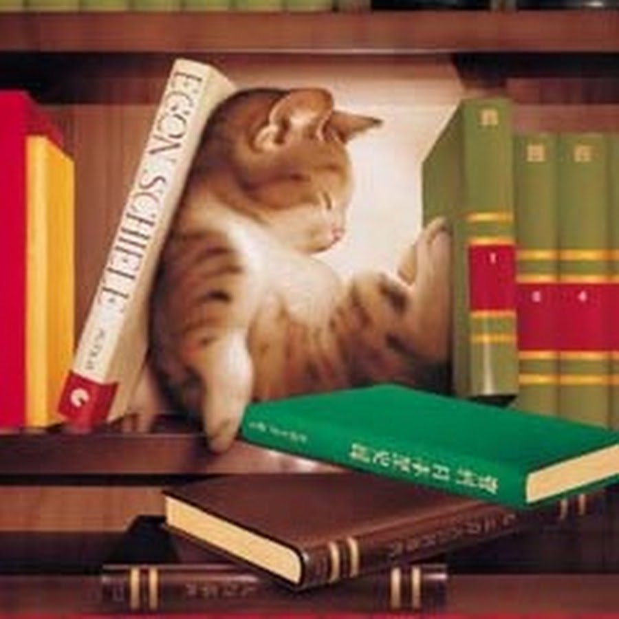 вышивка крестом кот на книжной полке